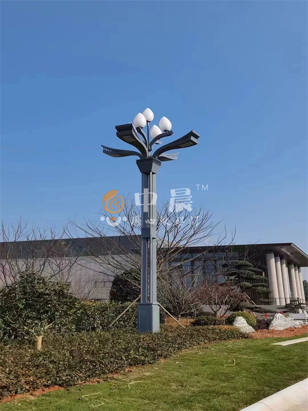 太陽能路燈安裝案列圖展示